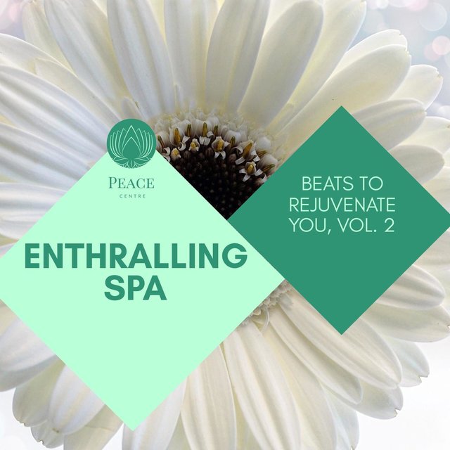 Enthralling Spa - Beats To Rejuvenate You, Vol. 2
