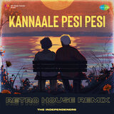 Kannaale Pesi Pesi