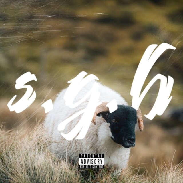 s.g.h