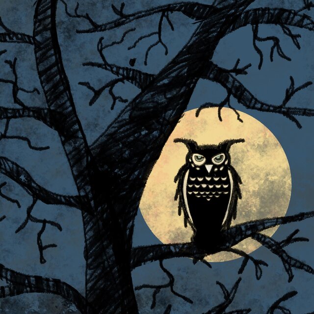 Night Owl