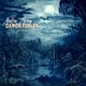 Cover art for album Alafia Moon by Damon Fowler