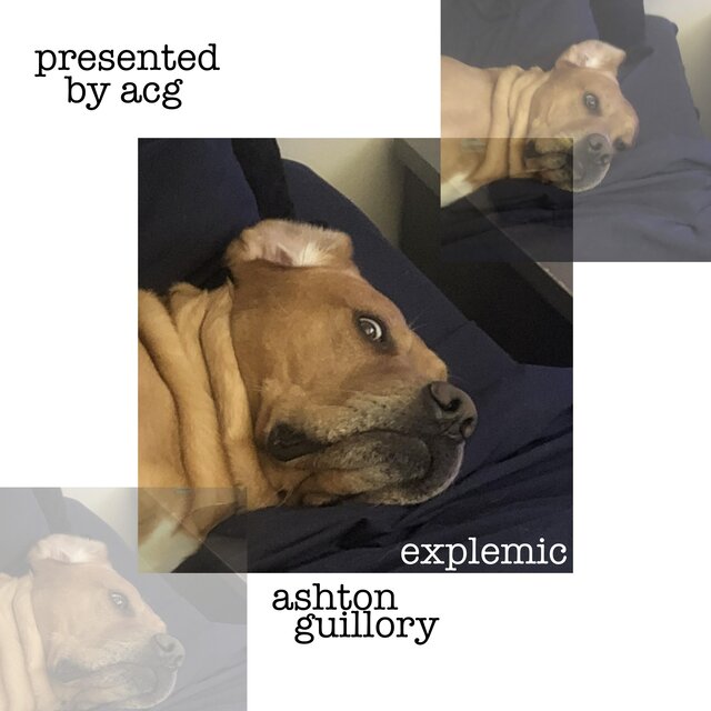 Exemplic