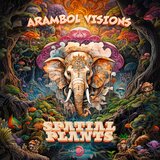 Arambol Vibes