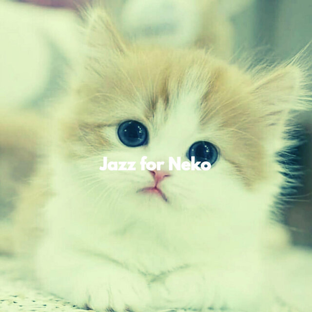 Jazz for Neko