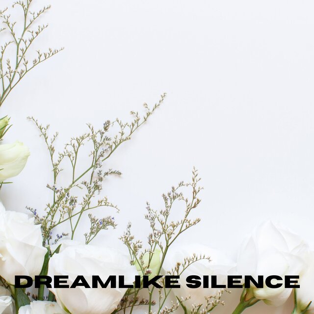 Dreamlike Silence