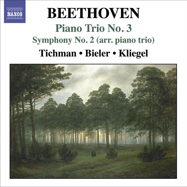 Beethoven, L. Van: Piano Trios, Vol. 3 - Piano Trio No. 3 / Symphony No. 2 (Arr. for Piano Trio)