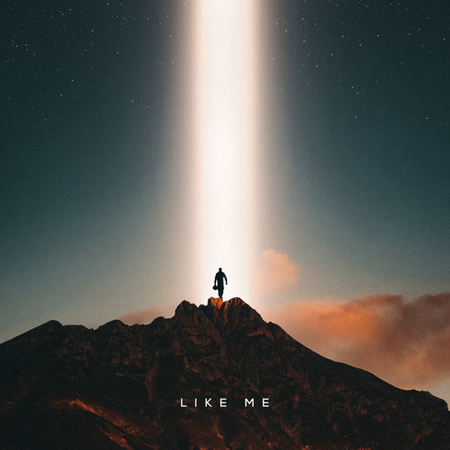 Like Me
