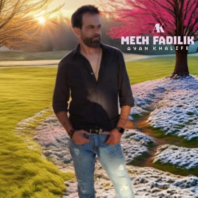 Mech Fadilik