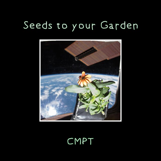 Seeds to your Garden