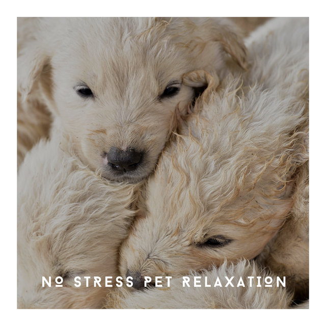 No Stress Pet Relaxation