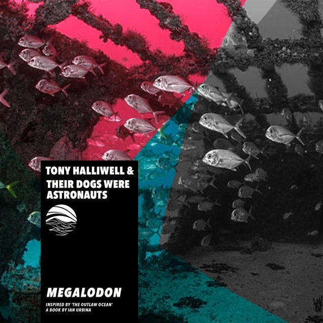 Megalodon (Inspired by ‘The Outlaw Ocean’ a book by Ian Urbina)