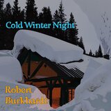 Cold Winter Night