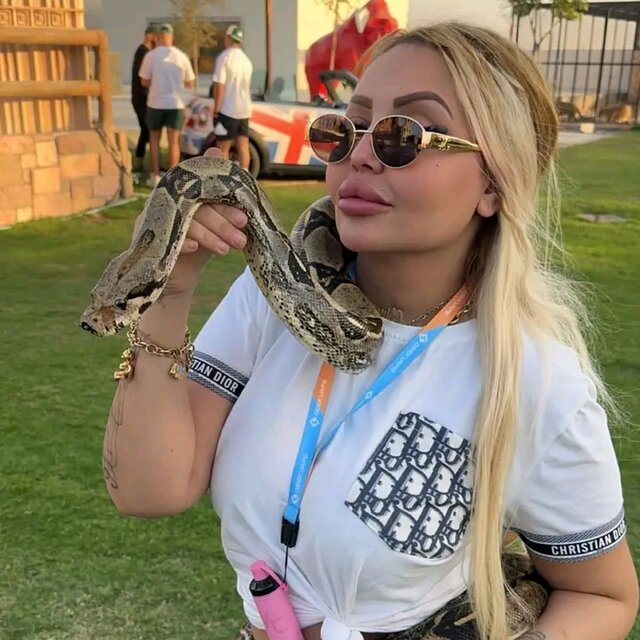 يجلبها على جرارة