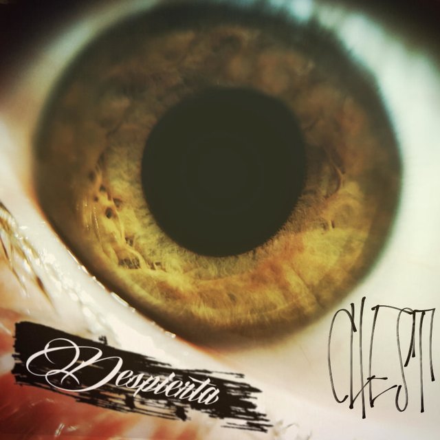Despierta