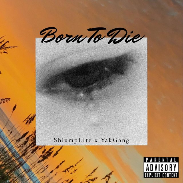 Born To Die