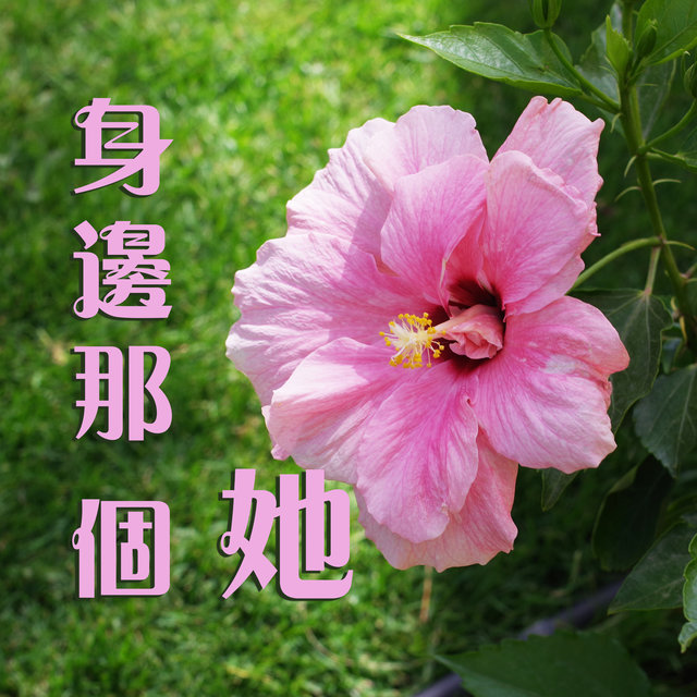 身边那个她