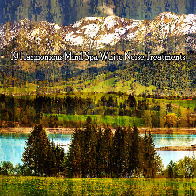 19 Tratamientos de ruido blanco de Harmonious Mind Spa