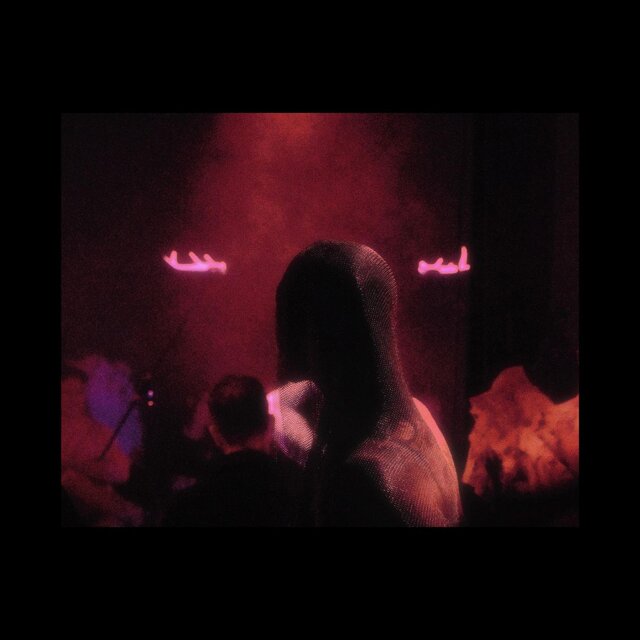 still life (Live Performance Recordings)