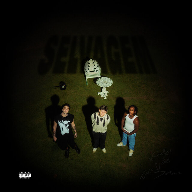 selvagem