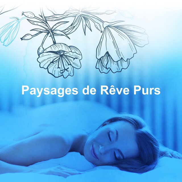 Paysages de Rêve Purs