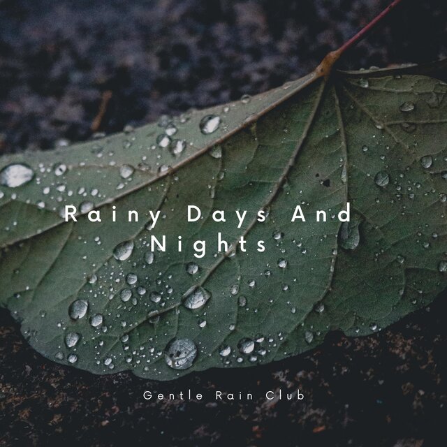 Rainy Days And Nights