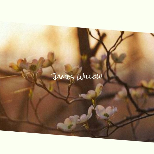 James Willow