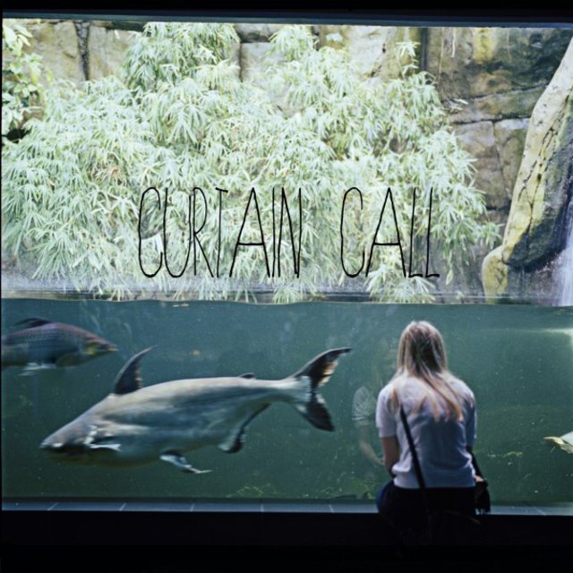 Curtain Call