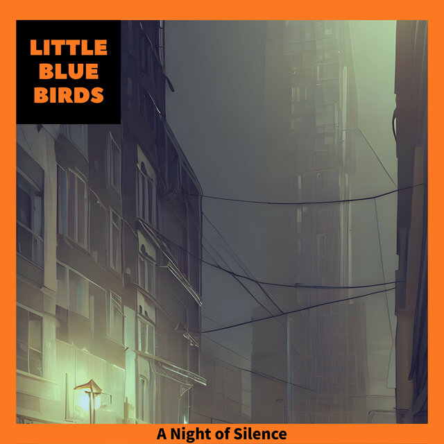 A Night of Silence