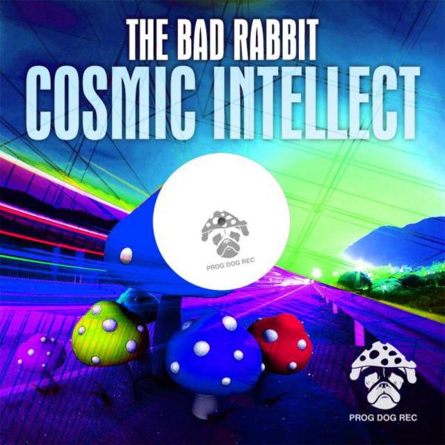 Cosmic Intellect
