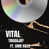 Vital (feat. BMB Hauv)