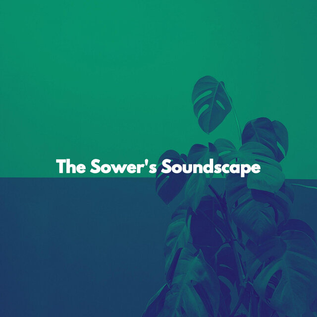 The Sower's Soundscape