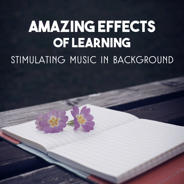 Amazing Effects of Learning – Stimulating Music in Background, Increase Brain Skills, Mind Focus & Concentration, Calm Sounds for Exam Study