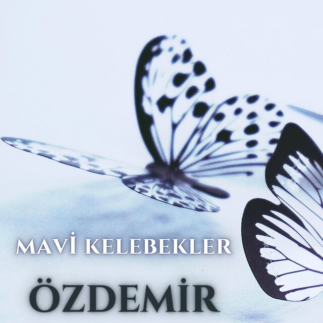 Mavi Kelebekler