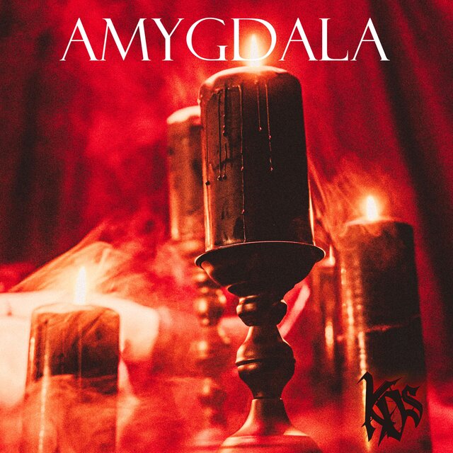 Amygdala