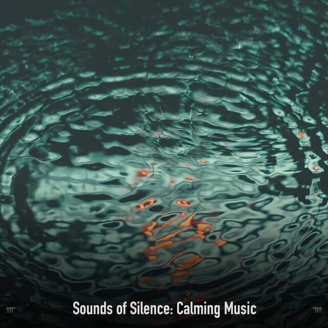 !!!!" Sounds of Silence: Calming Music "!!!!