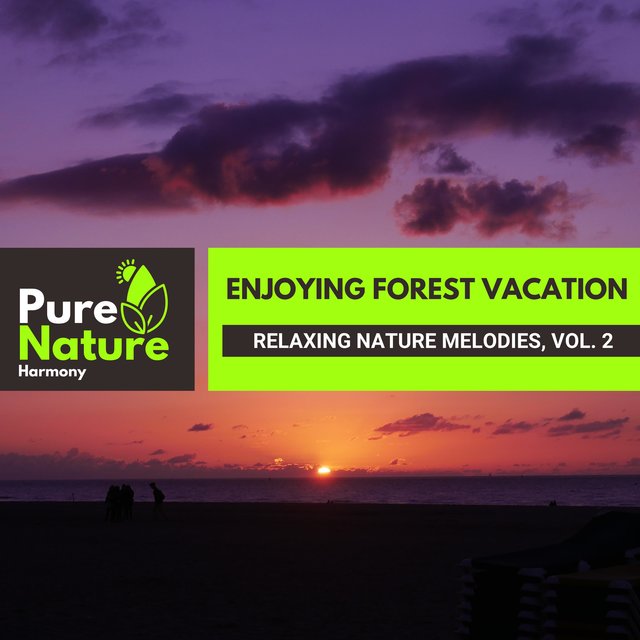Enjoying Forest Vacation - Relaxing Nature Melodies, Vol. 2