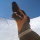 Cover art for album Good Lies by Overmono