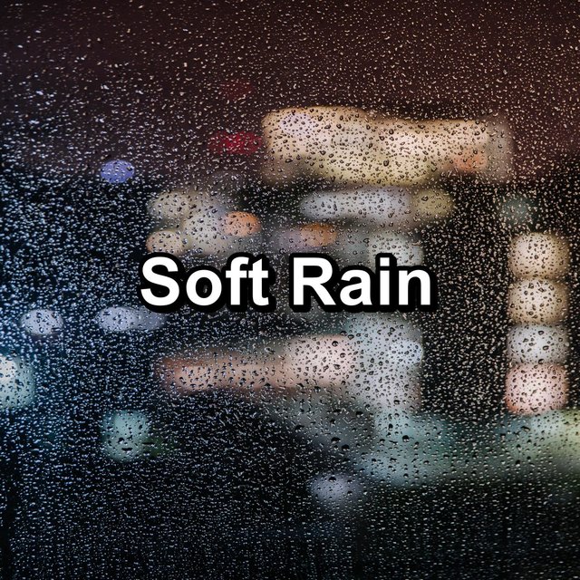 Soft Rain