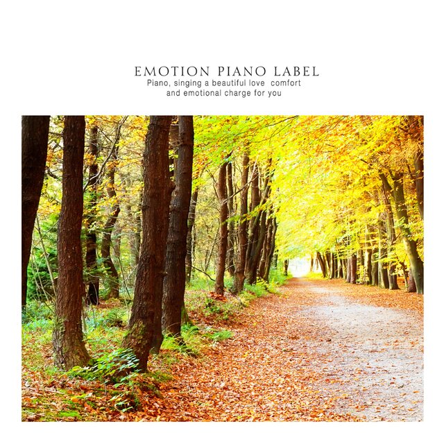 Emotional piano for the speculation heard in autumn