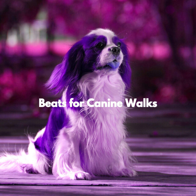 Beats for Canine Walks