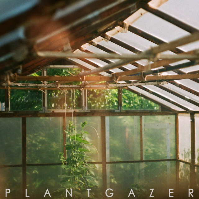 Album artwork