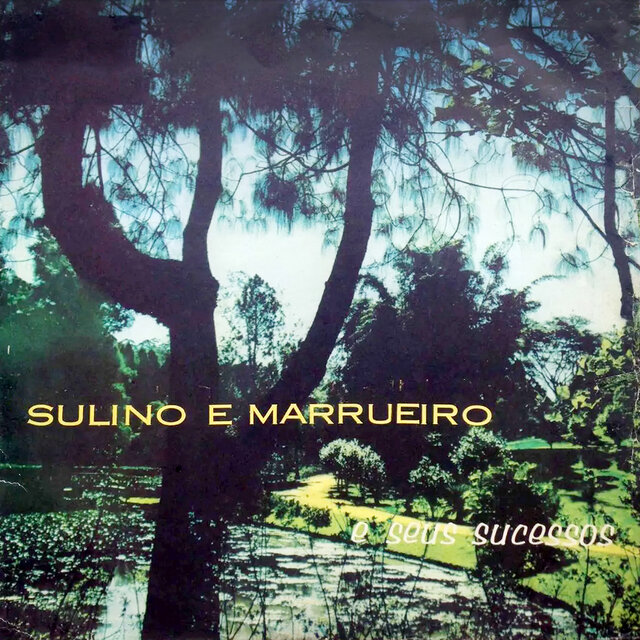 Sulino e Marrueiro e Seus Sucessos
