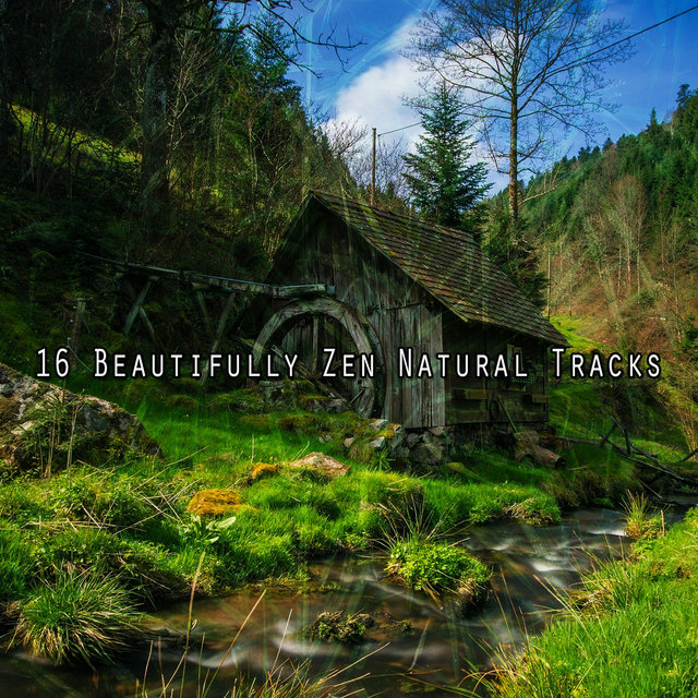 16 Beautifully Zen Natural Tracks