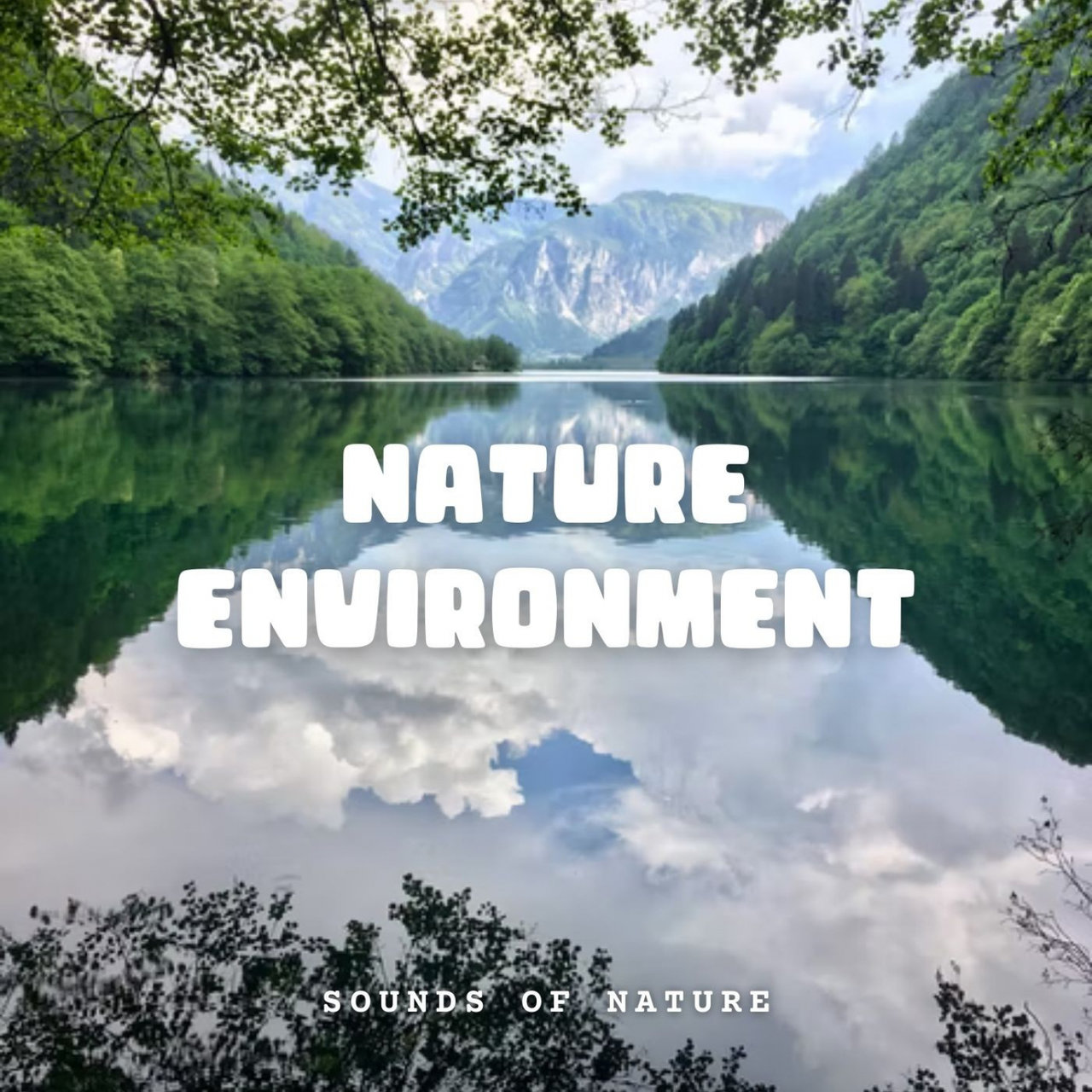 Environment Sounds Sounds of Nature: Environment Edition by Sounds of Nature Noise, Nature ...