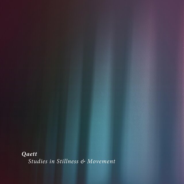 Studies in Stillness & Movement