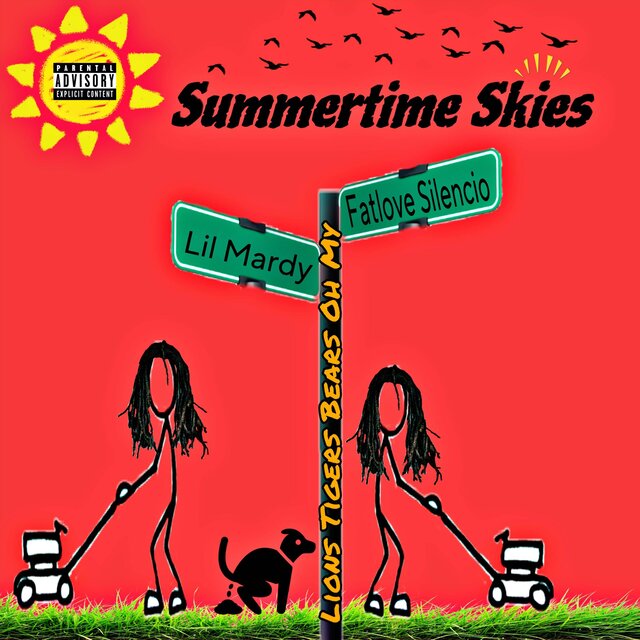 Summertime Skies