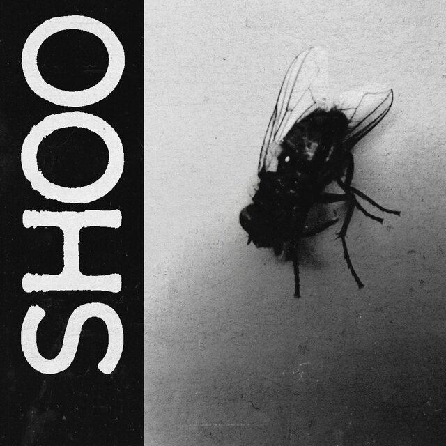 Cover art for album SHOO by Looch