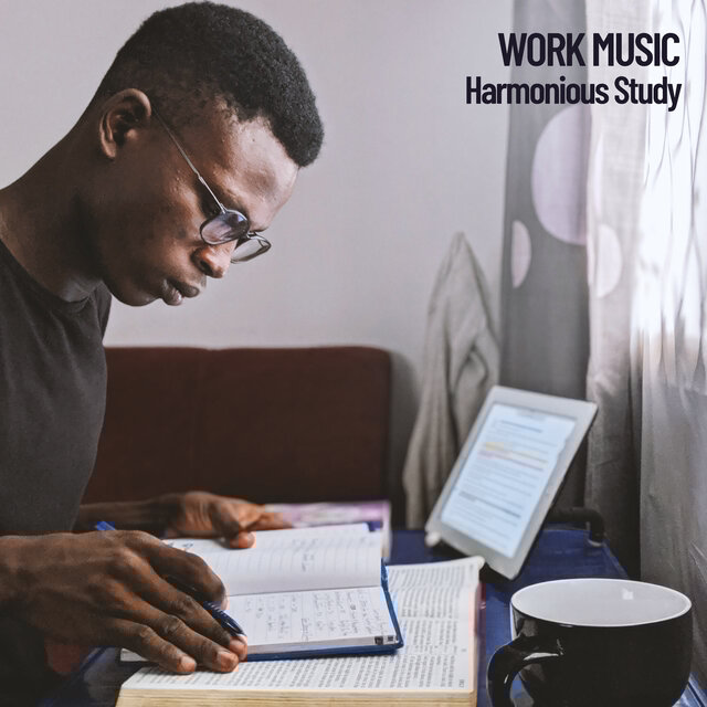 Work Music: Harmonious Study