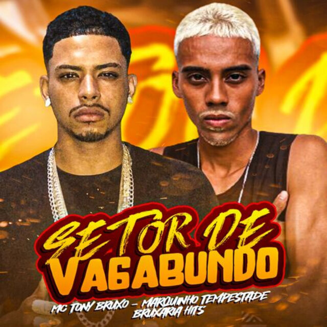 Setor de Vagabundo