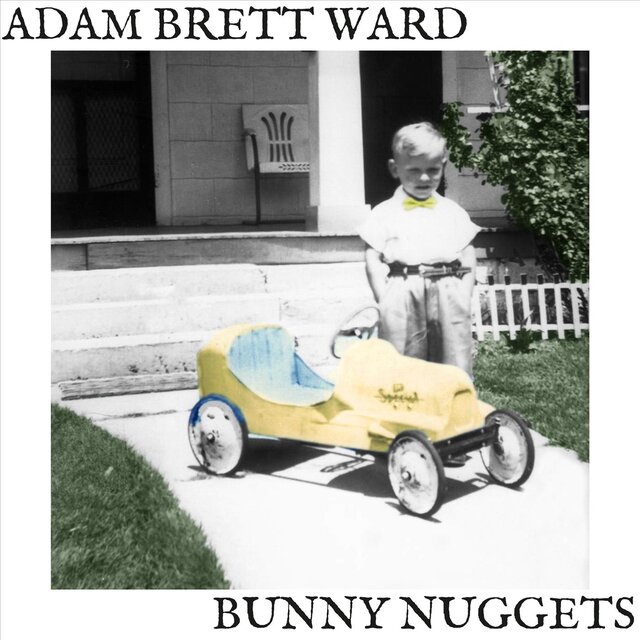 Bunny Nuggets